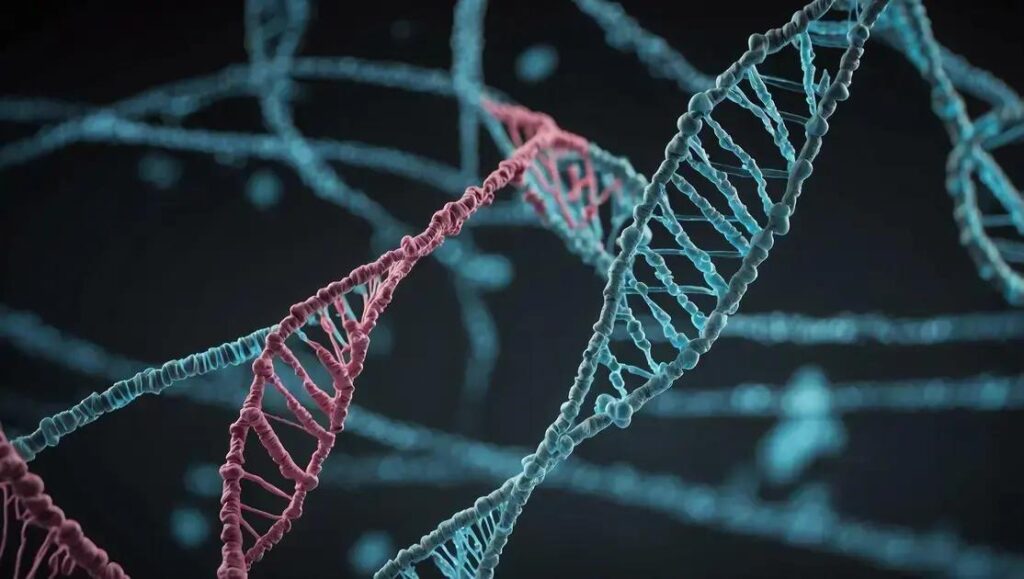 Exames de DNA: Como Funciona e Tudo que Você Precisa Saber